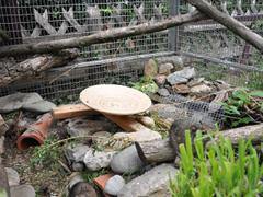 Wooden flying saucer in the outdoor enclosure
