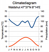 Klimadiagramm Waldshut